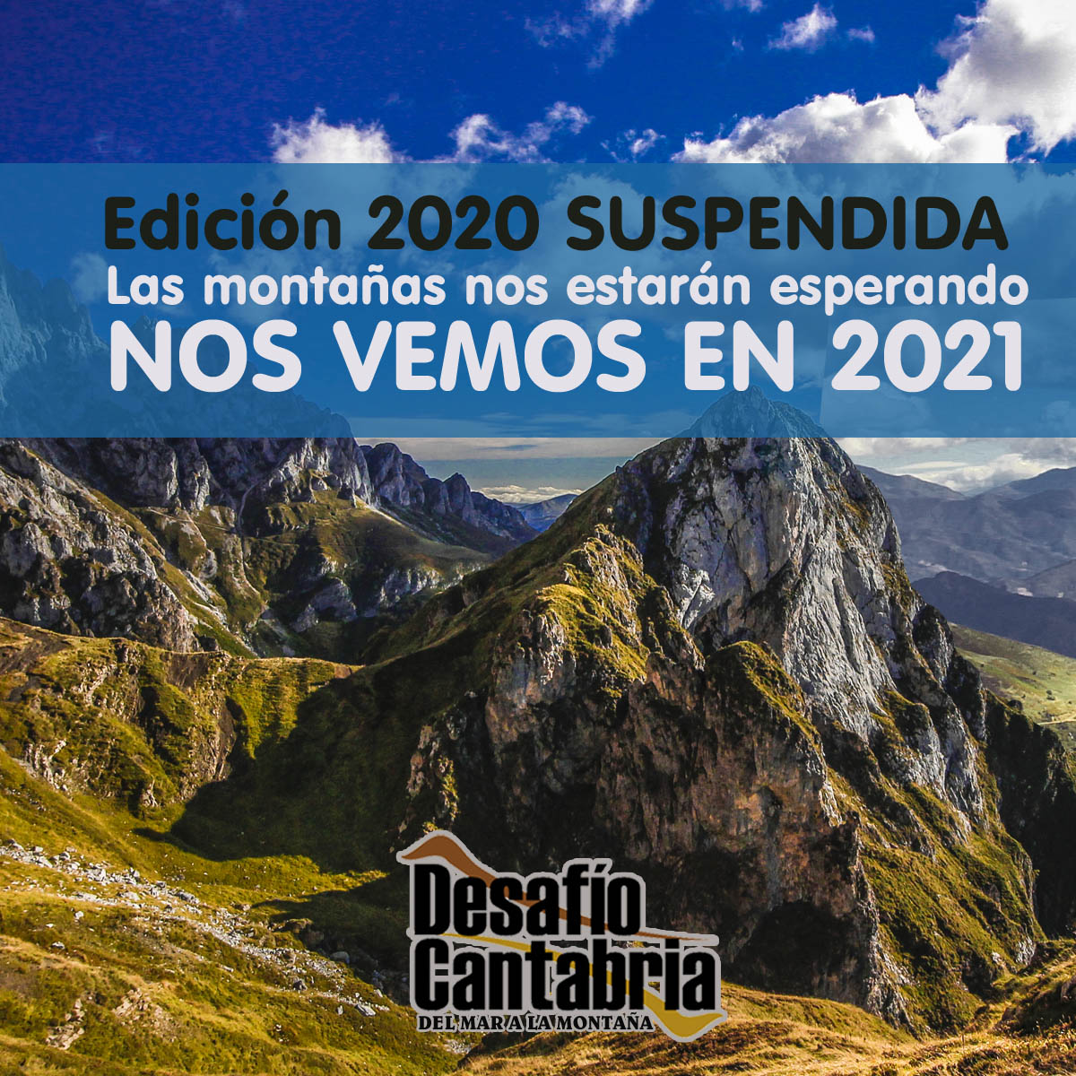 Suspension2020